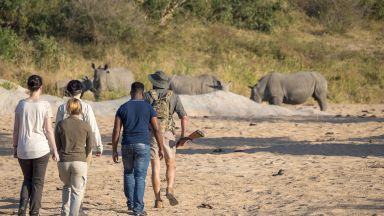 Mozambik: safari a pobyt pri oceáne │ individuálne